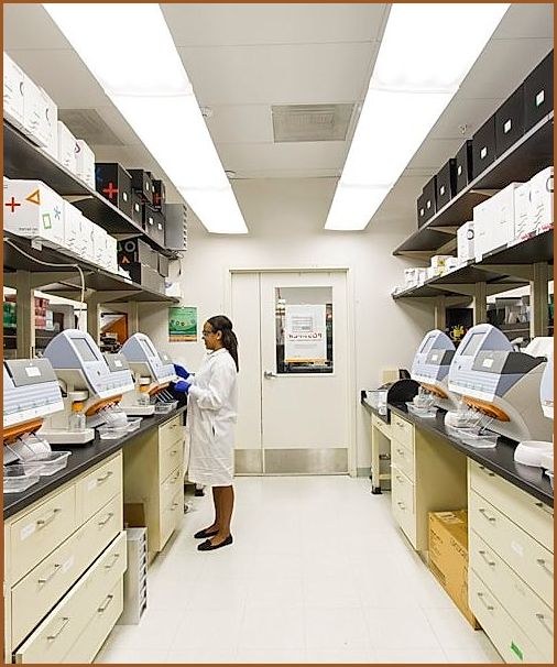 Investigación de laboratorio de plantas medicinales